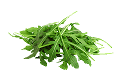 Rucola-Salat